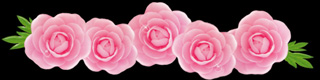 薔薇画像